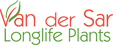 Van der Sar Plants